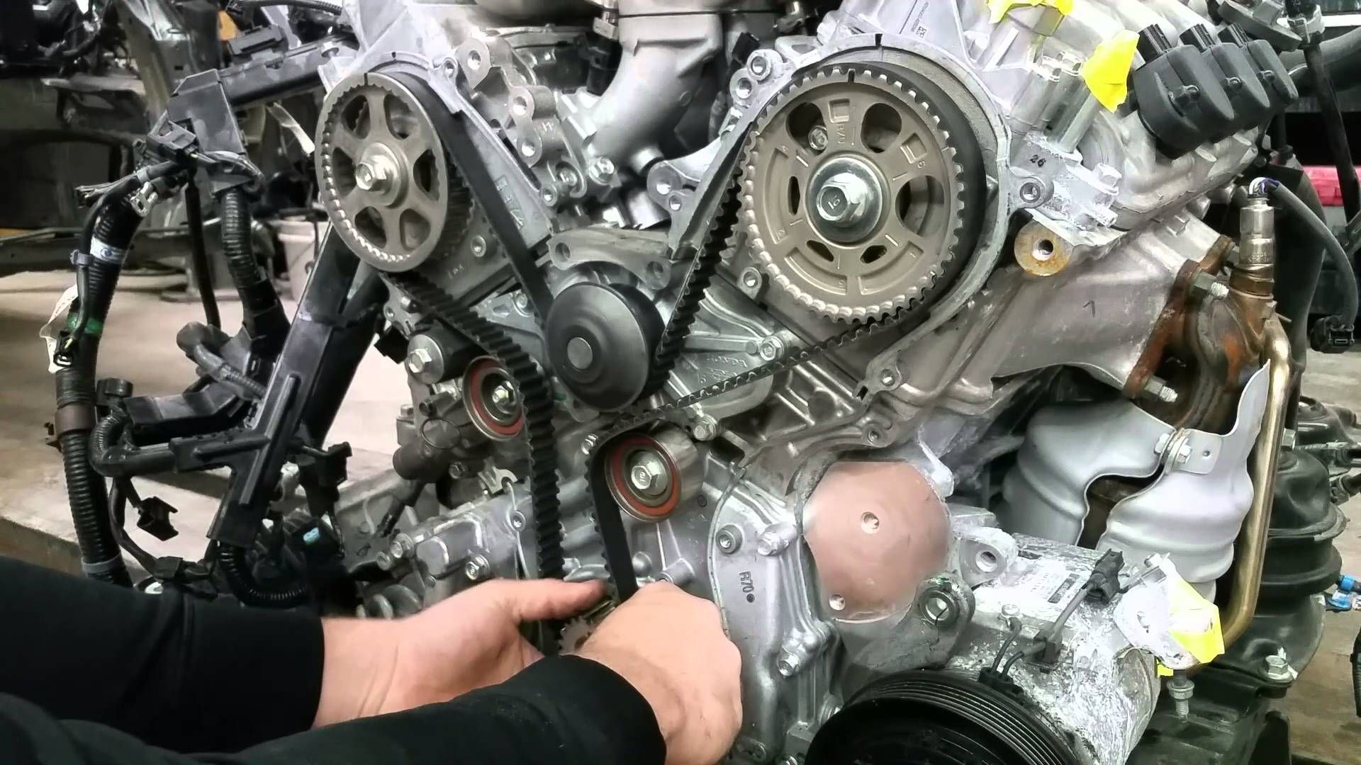 Timing Belt